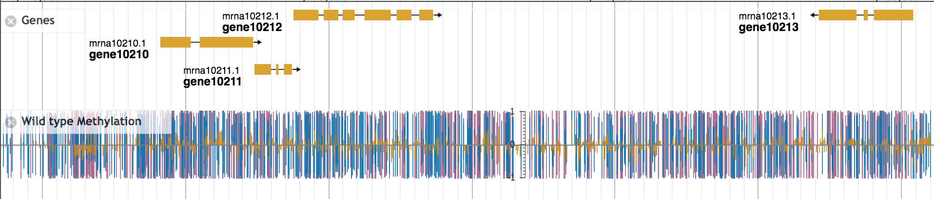 image from What is Epigenomics?